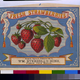 Illustration for article titled Strawberry